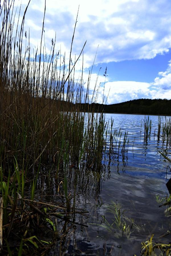 Domek Nad Jeziorem, A Morze W Gratisie Wisełka Exterior foto